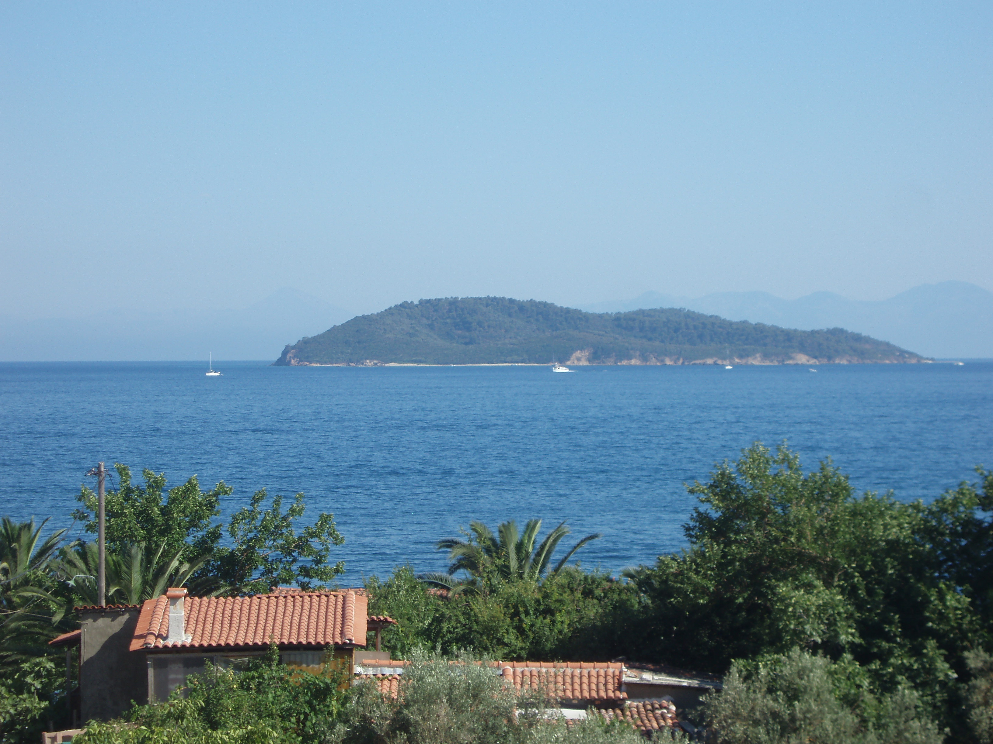 Σκιάθος η θέα από τα διαμερίσματα 